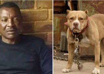 Video footage of moment, Philemon Mulala, ex-Zambia footballer killed by his dogs goes viral (Watch)