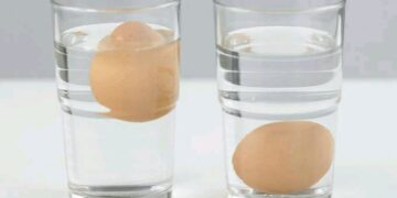 Ways to know if egg is bad to avoid health hazards