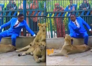 See what happens to a pastor who invited church member to watch as he enters lion’s den (VIDEO)