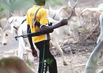5 reportedly k!lled in Iwere-Ile by Fulani invaders (VIDEO)