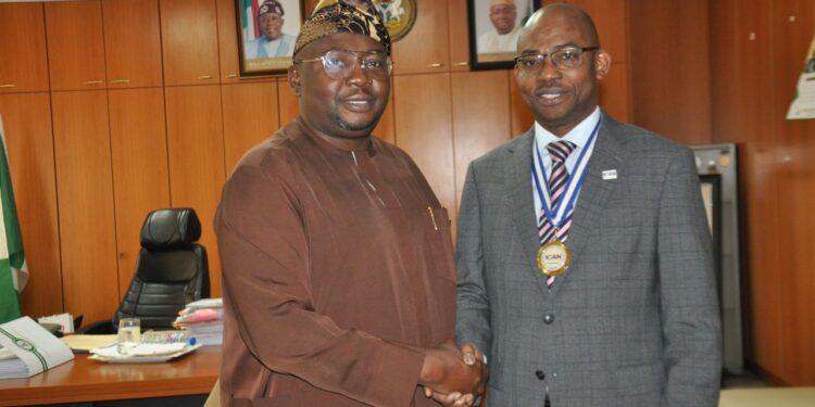 ICAN, NSE pledge support for power Minister