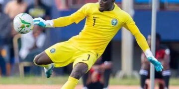 Give Adebayo Adeleye A Chance, Ex Super Eagles Goalies Tell Pesseiro