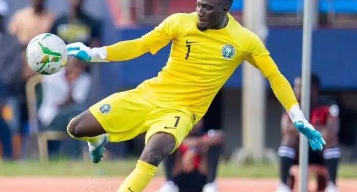 Give Adebayo Adeleye A Chance, Ex Super Eagles Goalies Tell Pesseiro