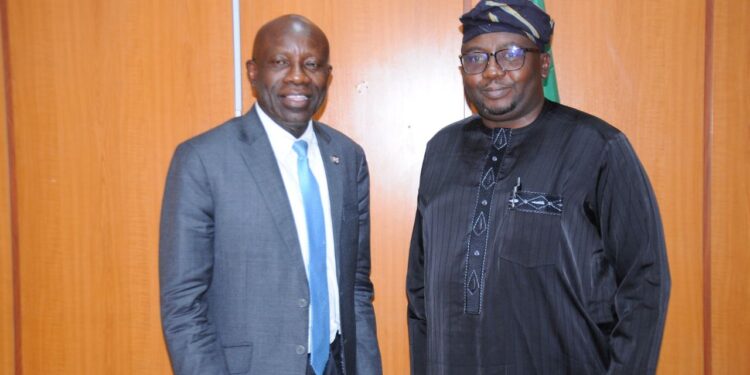 Adelabu seeks collaboration between FG, states on power during meeting with governor’s forum