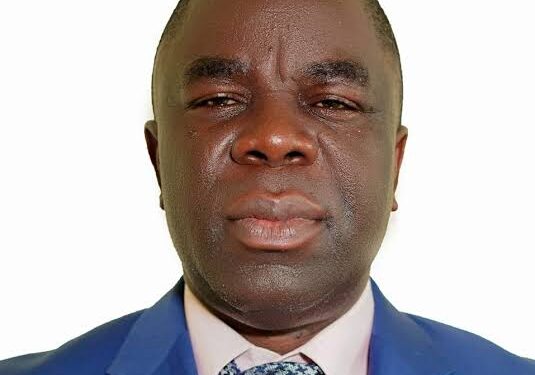 Renowned energy expert calls for transparency and capacity development in Nigeria’s electricity sector