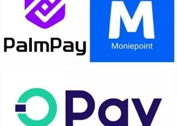 Panic as CBN Bans OPay, PalmPay, and Others from Onboarding New Accounts