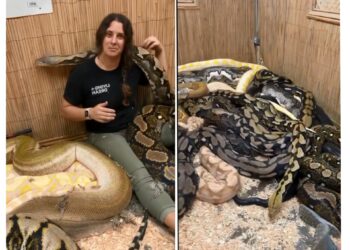 Woman Houses 28 Snakes as Unconventional Pets,, Call Them Her “Best Friends” (VIDEO)