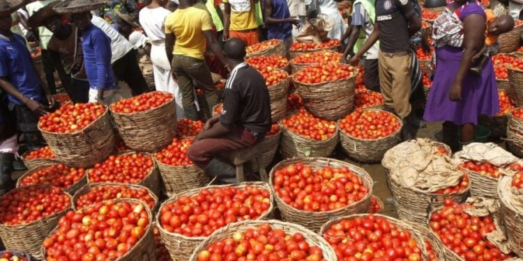 Why cost of tomato products increases in Nigeria – Minister