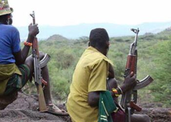 Bandits Terrorize Kaduna Farmers, Demand ‘Tax’ Before Allowing Them to Farm