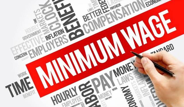 Why Nigerian Government Should Set Minimum Wage at 166,000 Naira per Month