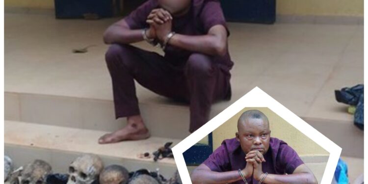Ritualist Arrested With 8 Human Skulls in Ondo, Selling Each At ₦30,000 (PHOTOS)