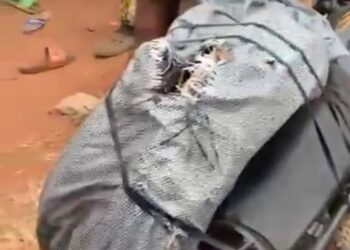 Cable thieves caught in Amuloko, Ibadan … str¡pped nāked (VIDEO)