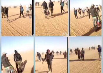 Risky Journeys: Viral video of men crossing the Sahara desert to reach Europe (WATCH)