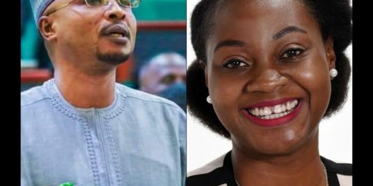 Lawmaker To Sue Adeola Fayehun For Leaking Alleged Salary And Allowance in A Video (WATCH)