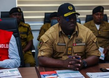 NDLEA, IITA partner on Alternative Development Project to tackle illicit drug growers