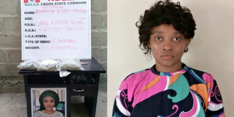 Former Beauty Queen Surrenders to NDLEA After Eight Months in Hiding