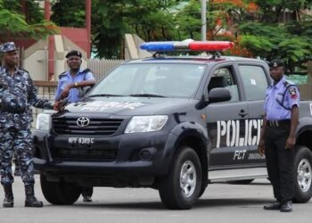 Nigeria Society for Criminology cautions against hasty establishment of state police