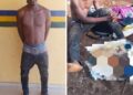 Man Arrested in Lagos for Allegedly Trafficking Human Organs for Ritual Purposes
