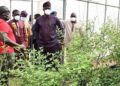 Oyo Farmers Reap Benefits as Agriculture Ministry Details Landmark Achievements