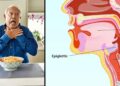 Understanding Choking and Epiglottis: Its Vital Role, Dangers of Malfunction, Expert Advice